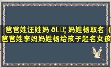 爸爸姓汪姓妈 🐦 妈姓杨取名（爸爸姓李妈妈姓杨给孩子起名女孩）